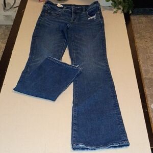 American Eagle Outfitters Dark Blue Flare Jeans